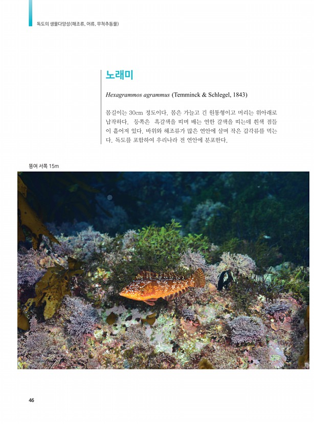 38페이지