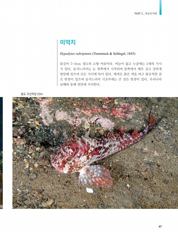 39페이지