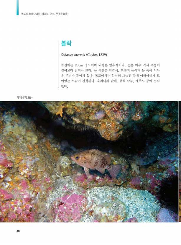40페이지