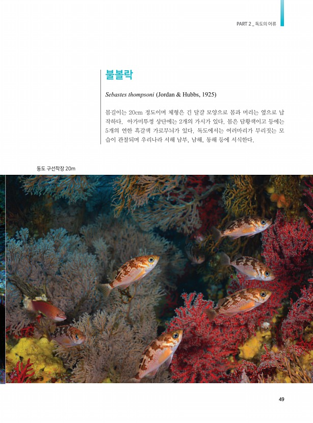 41페이지