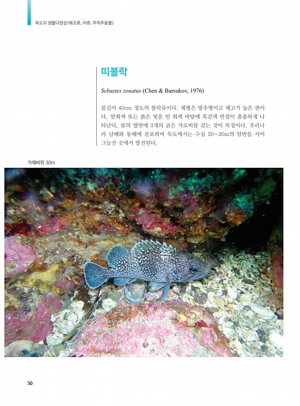 42페이지