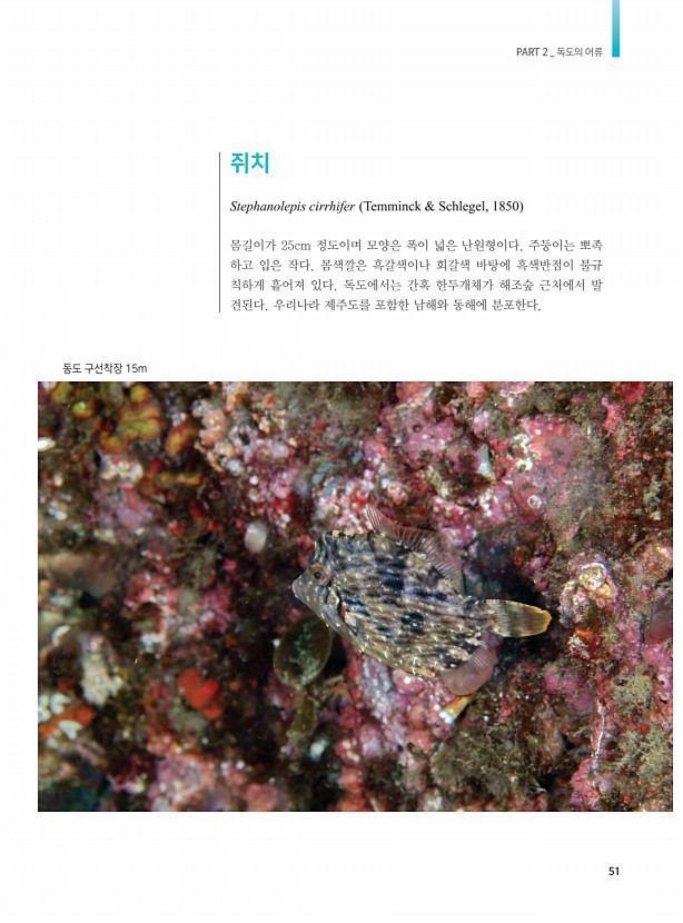 43페이지
