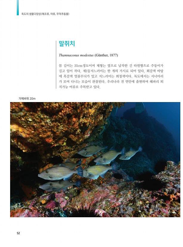 44페이지