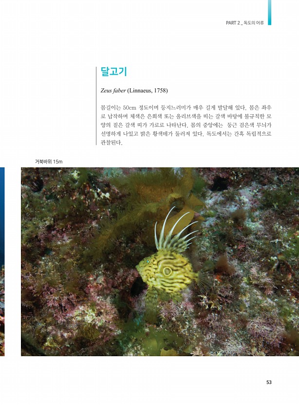 45페이지