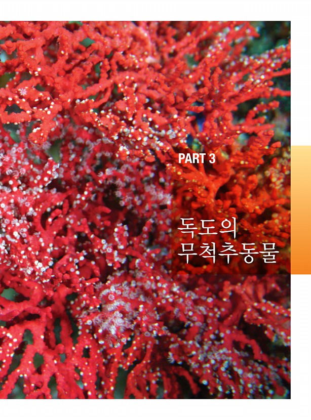49페이지