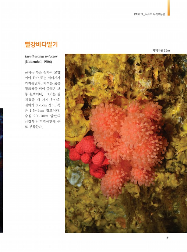 53페이지