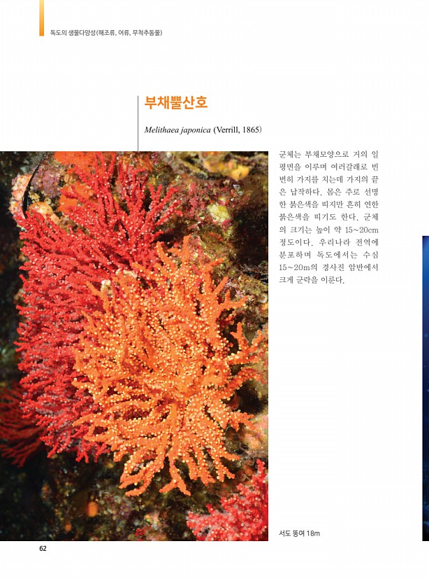 54페이지