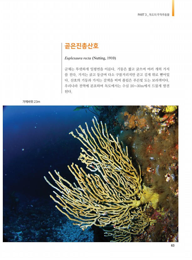 55페이지
