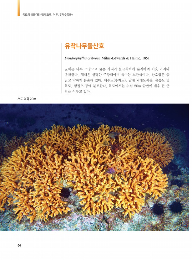 56페이지