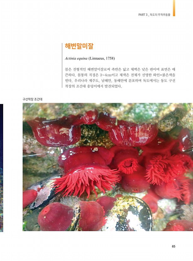 57페이지
