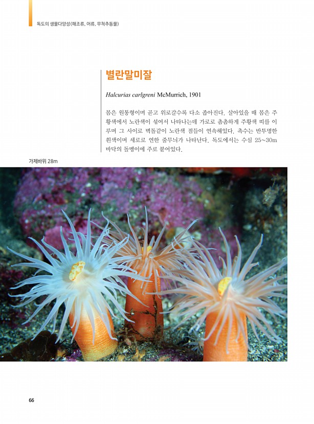 58페이지
