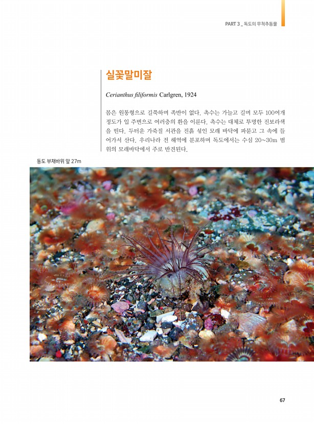 59페이지