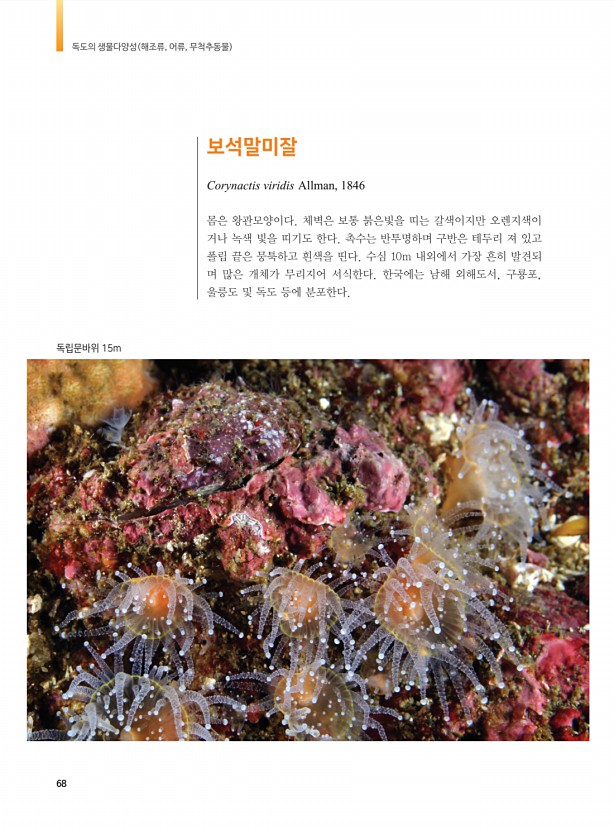 60페이지