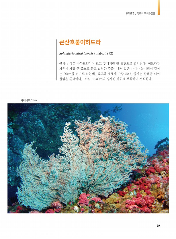 61페이지