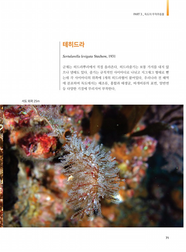 63페이지