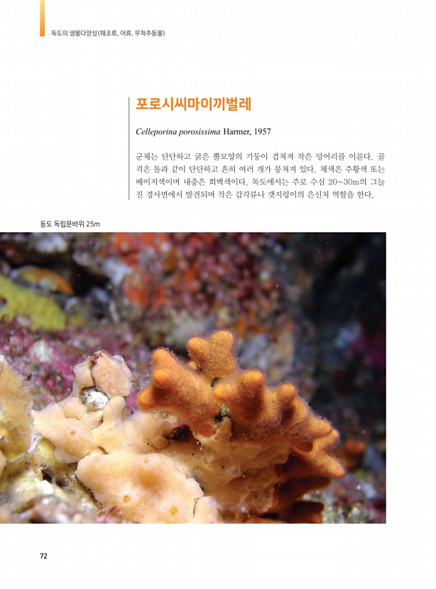 64페이지