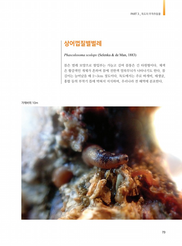65페이지