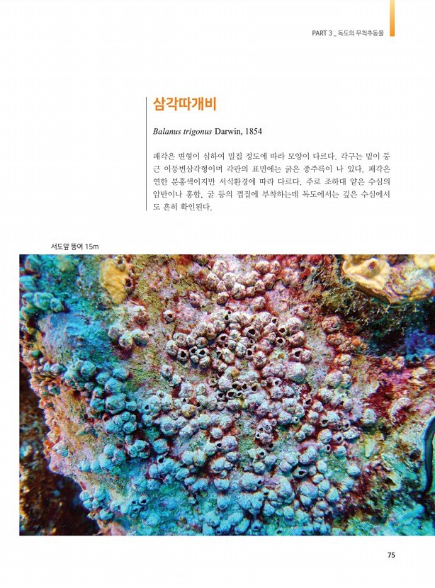 67페이지