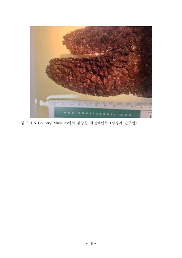 52페이지