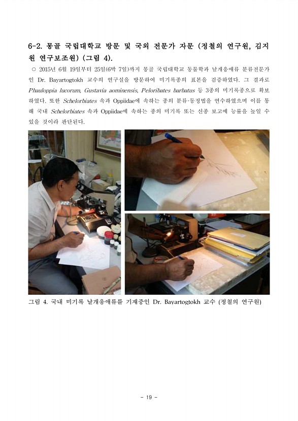 53페이지