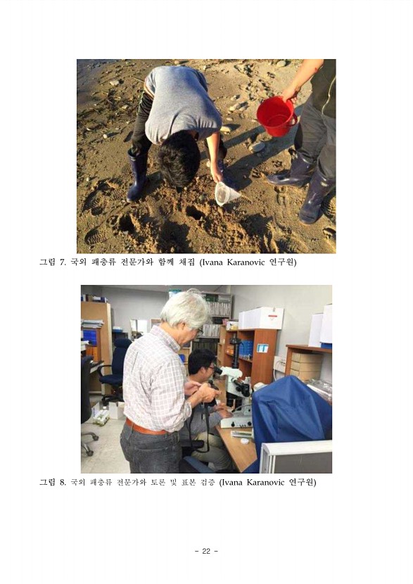 56페이지