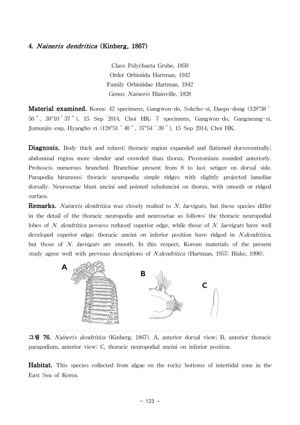 152페이지