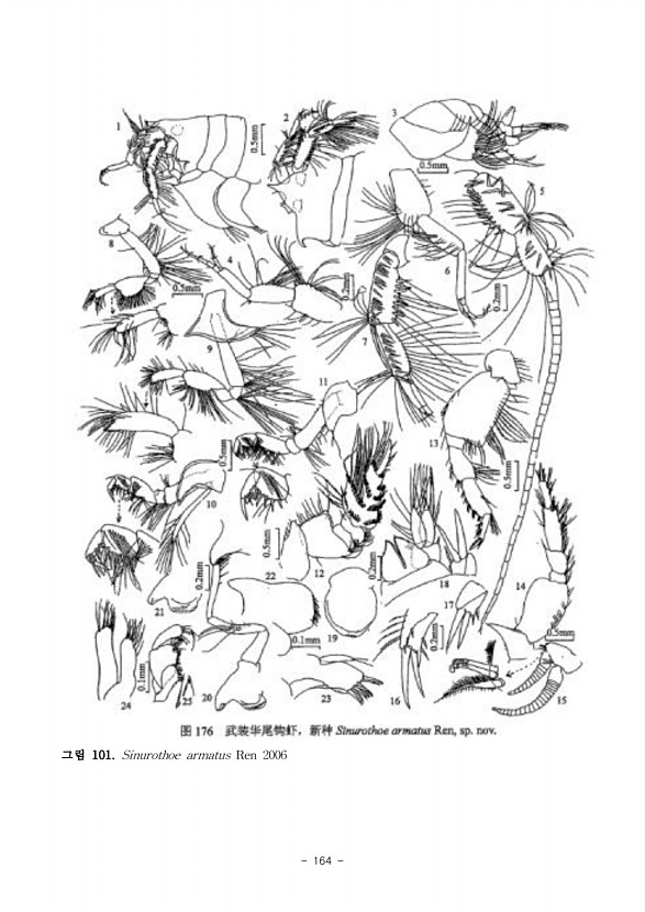 194페이지