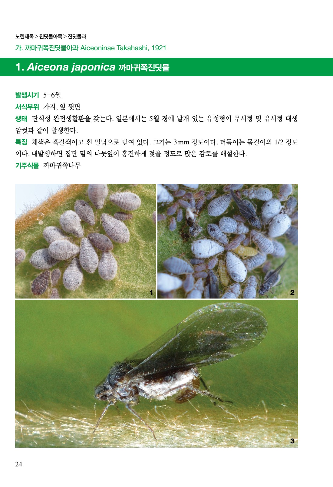 페이지