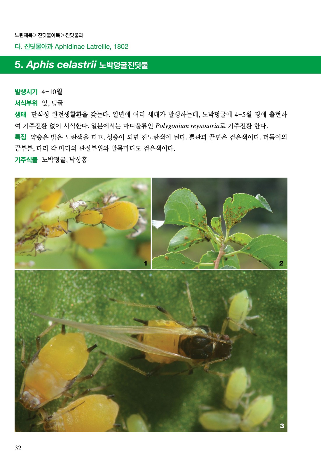 페이지