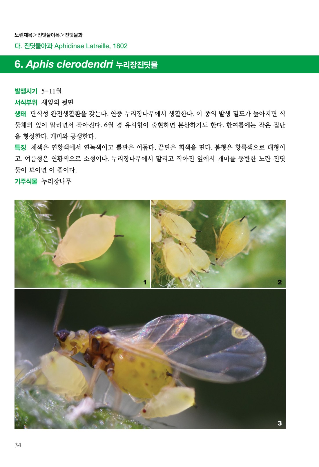 페이지