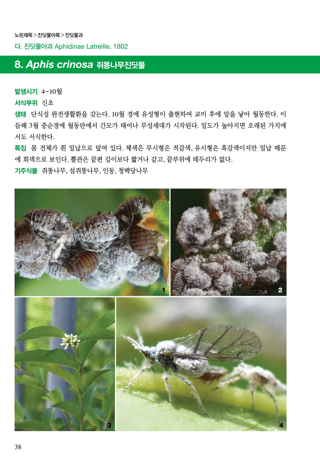 페이지