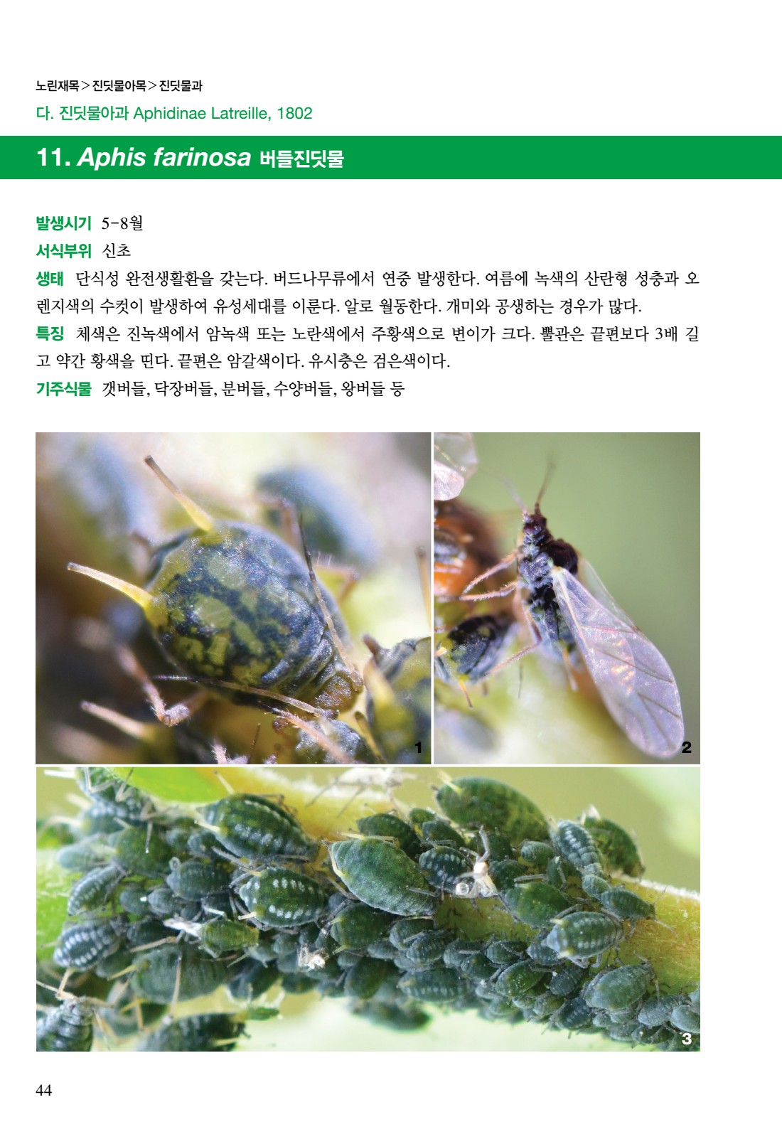 페이지