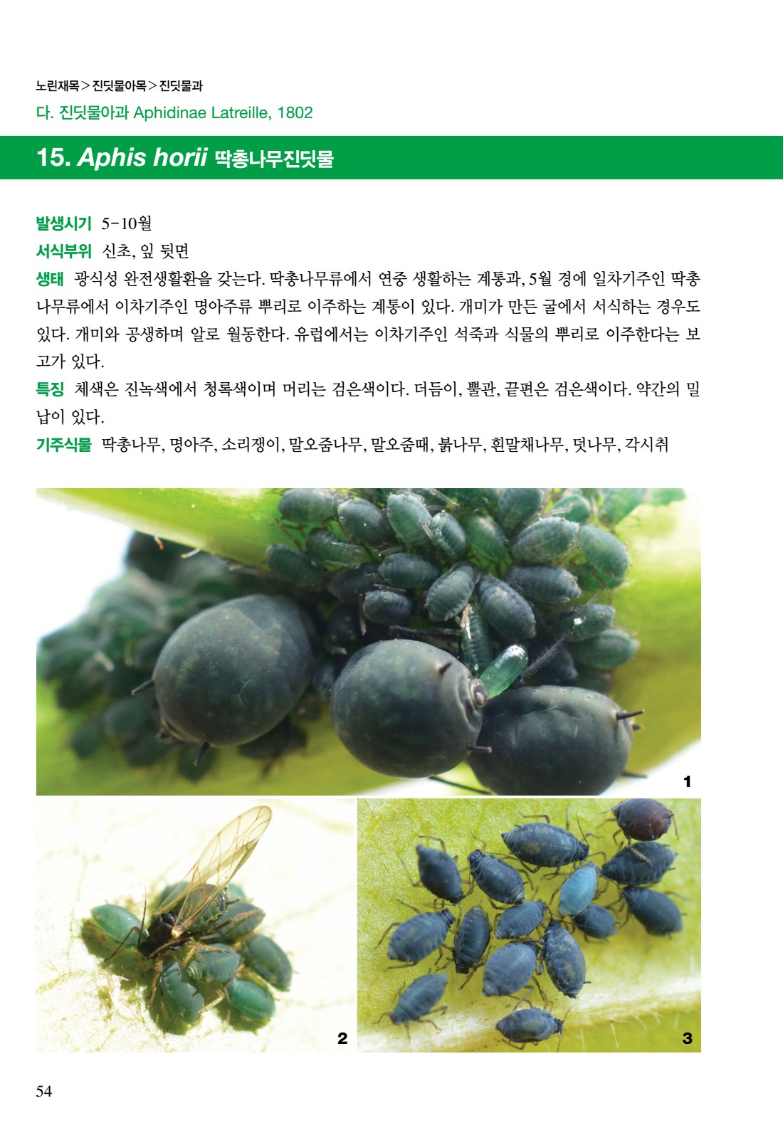 페이지