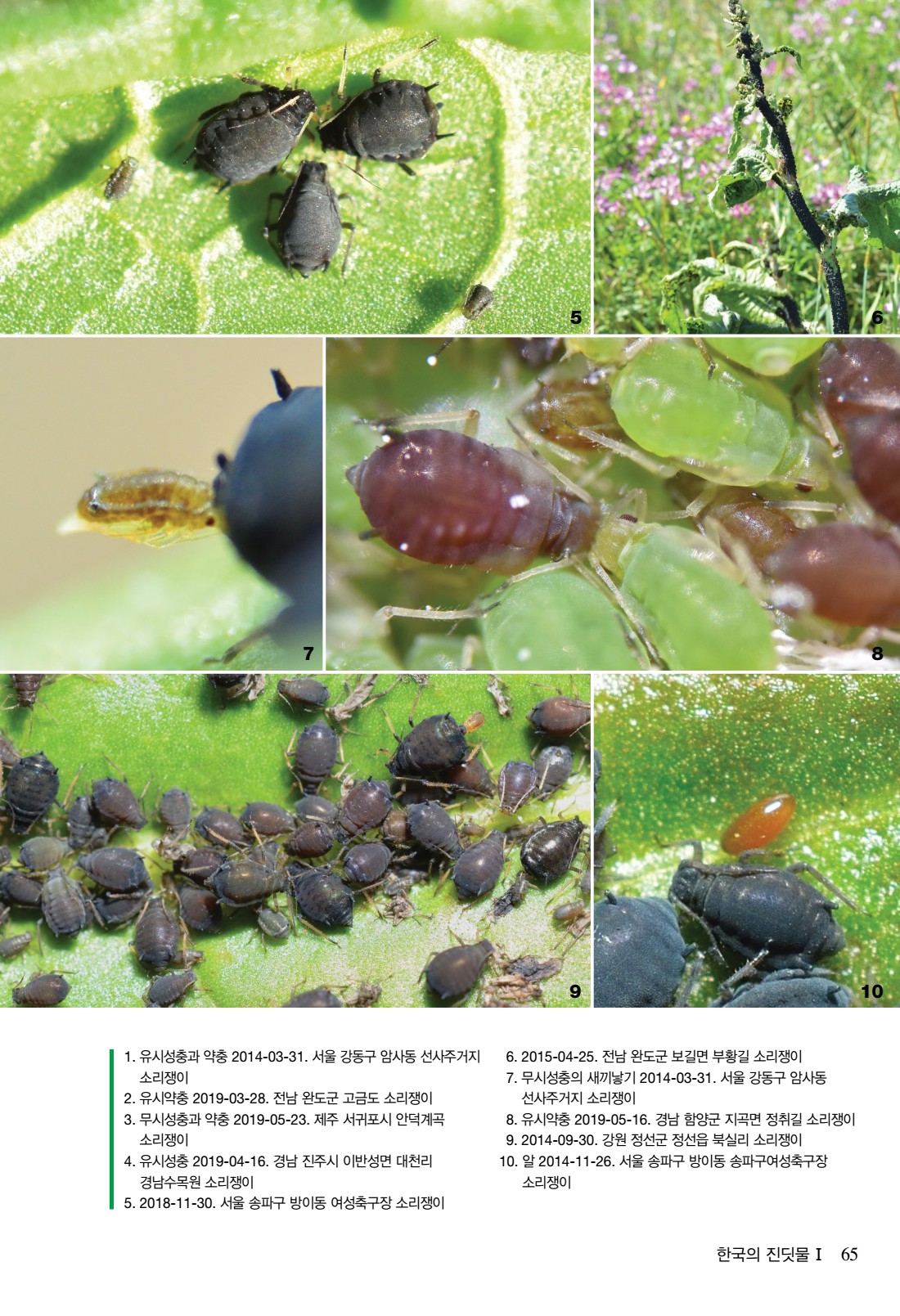 페이지