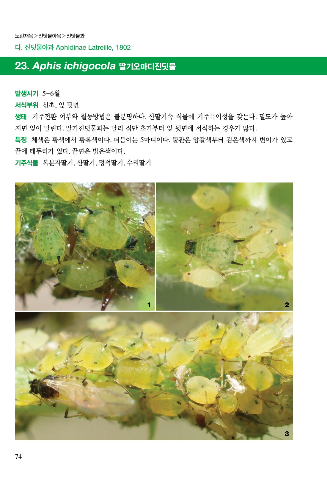 페이지