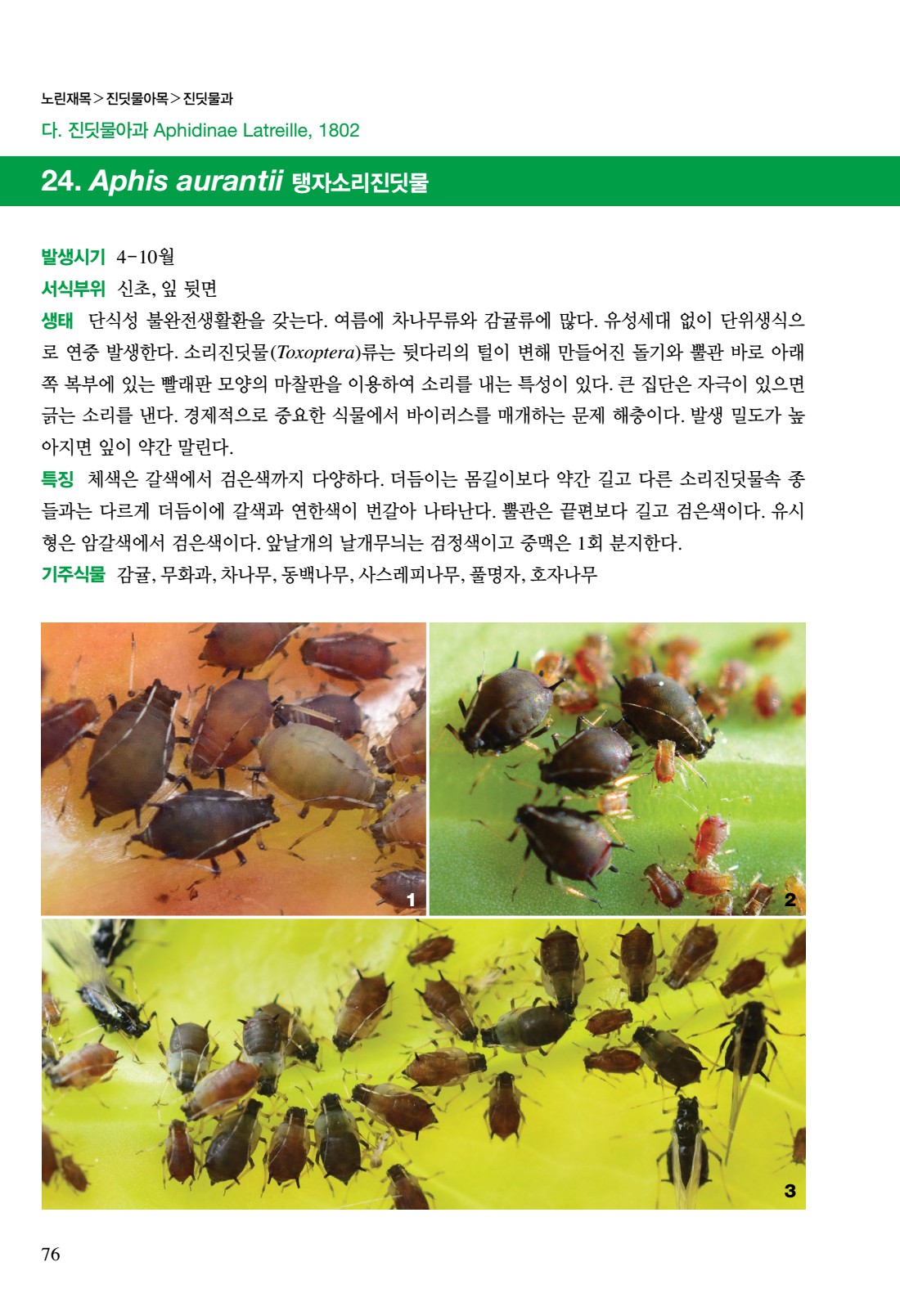 페이지