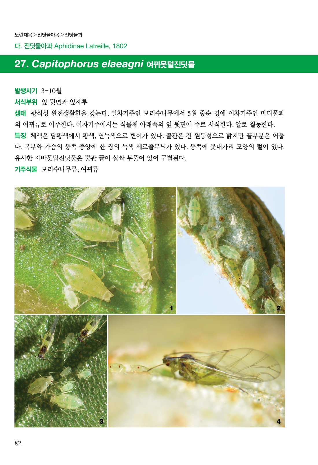 페이지