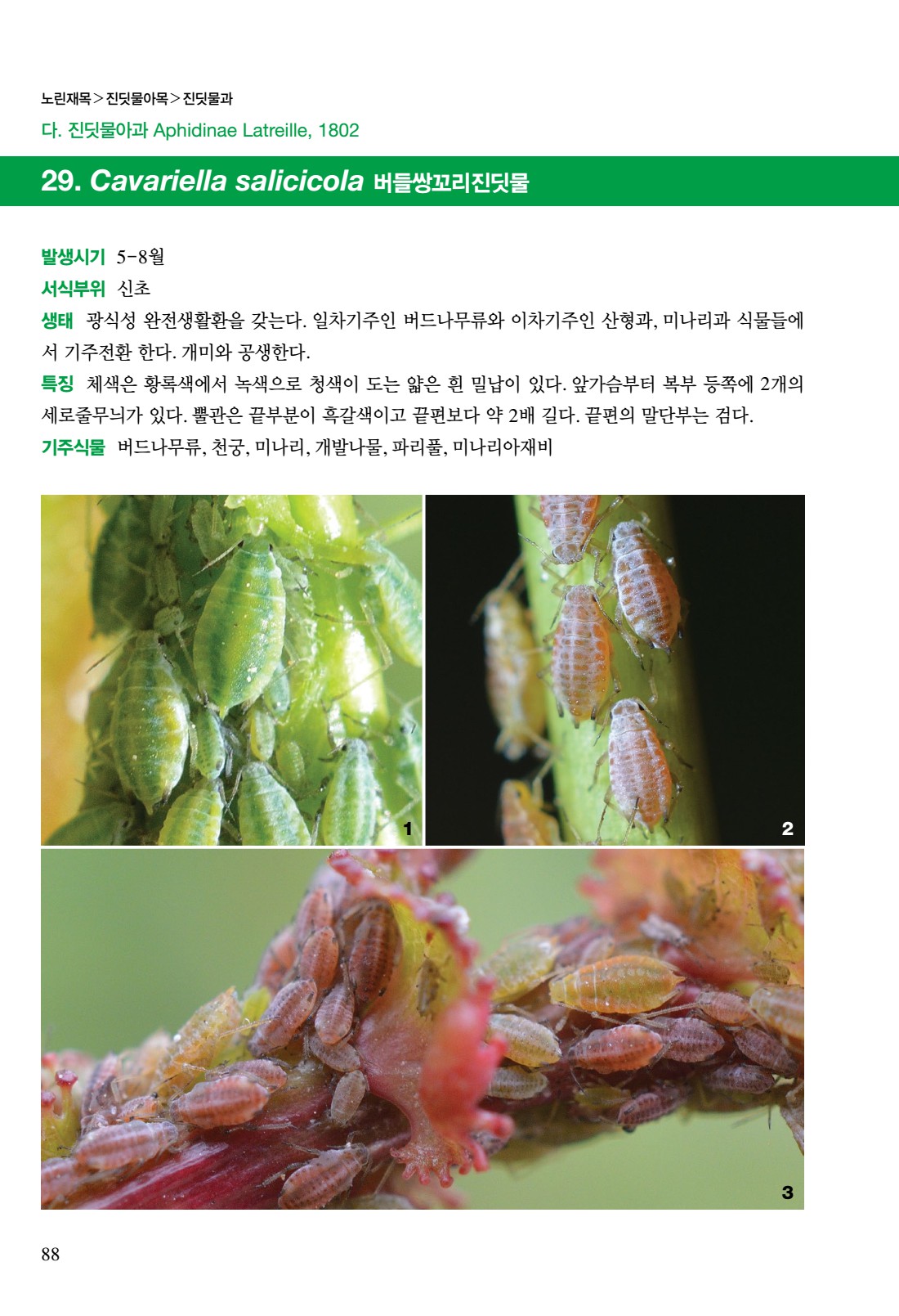 페이지
