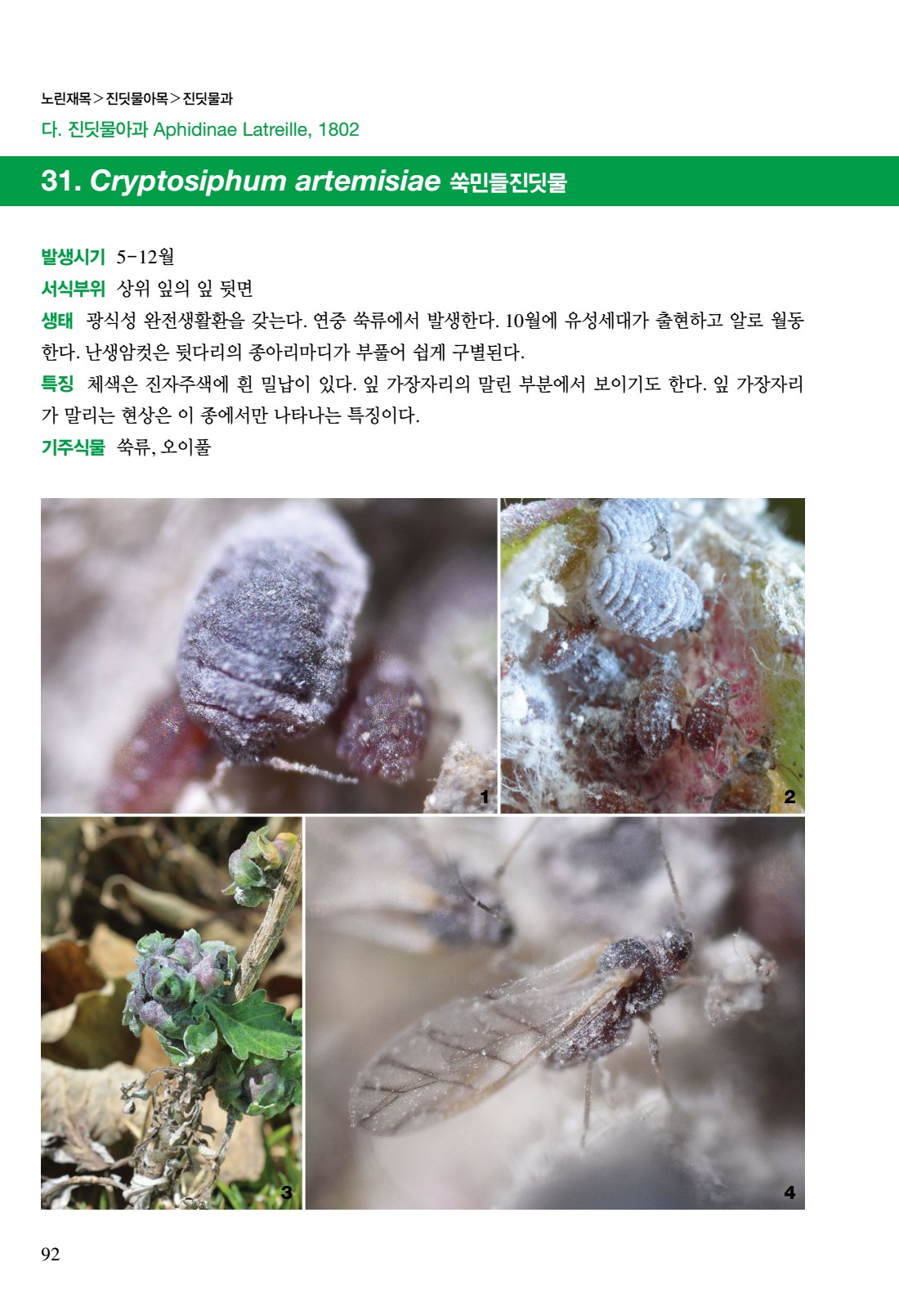 페이지