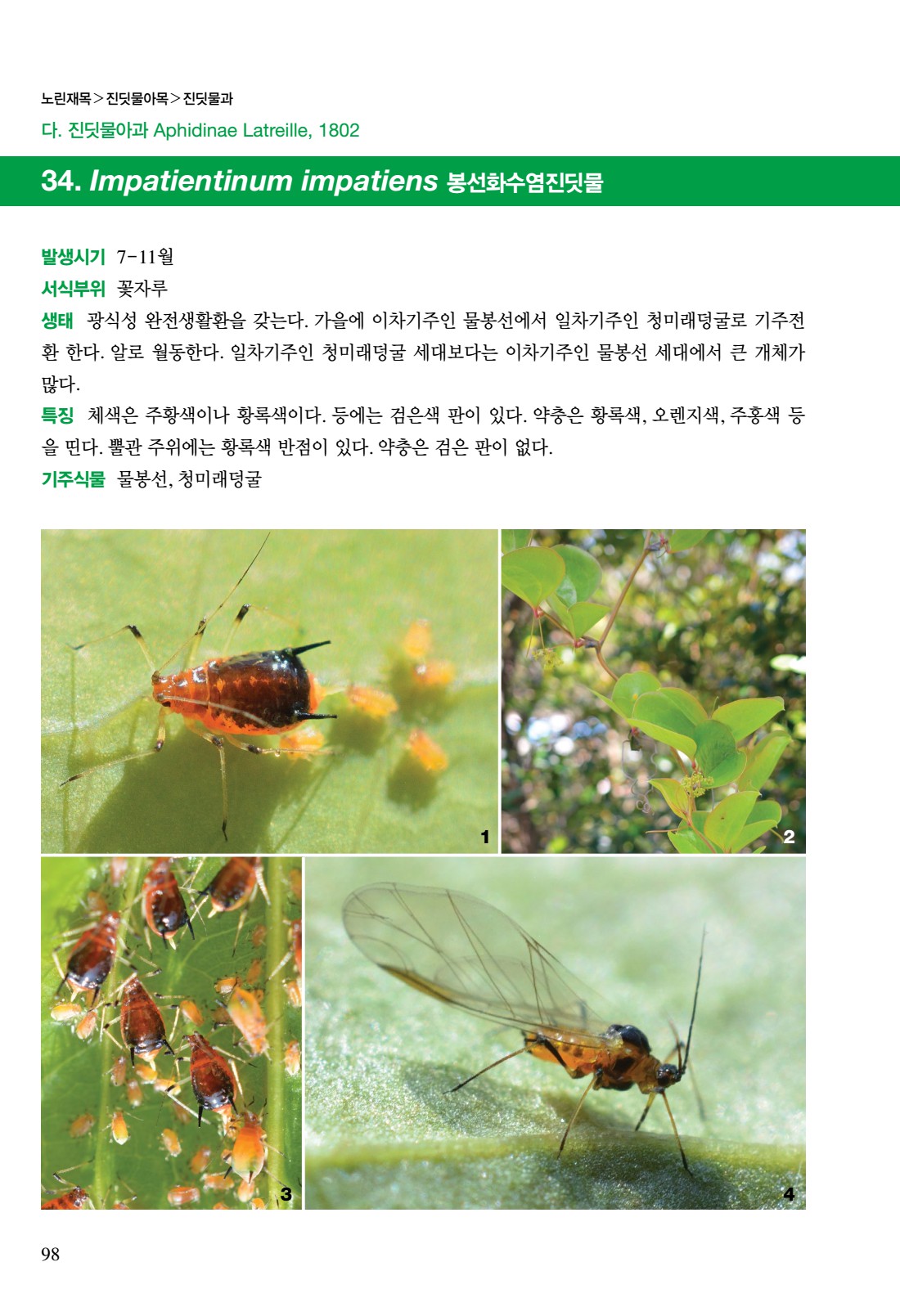 페이지