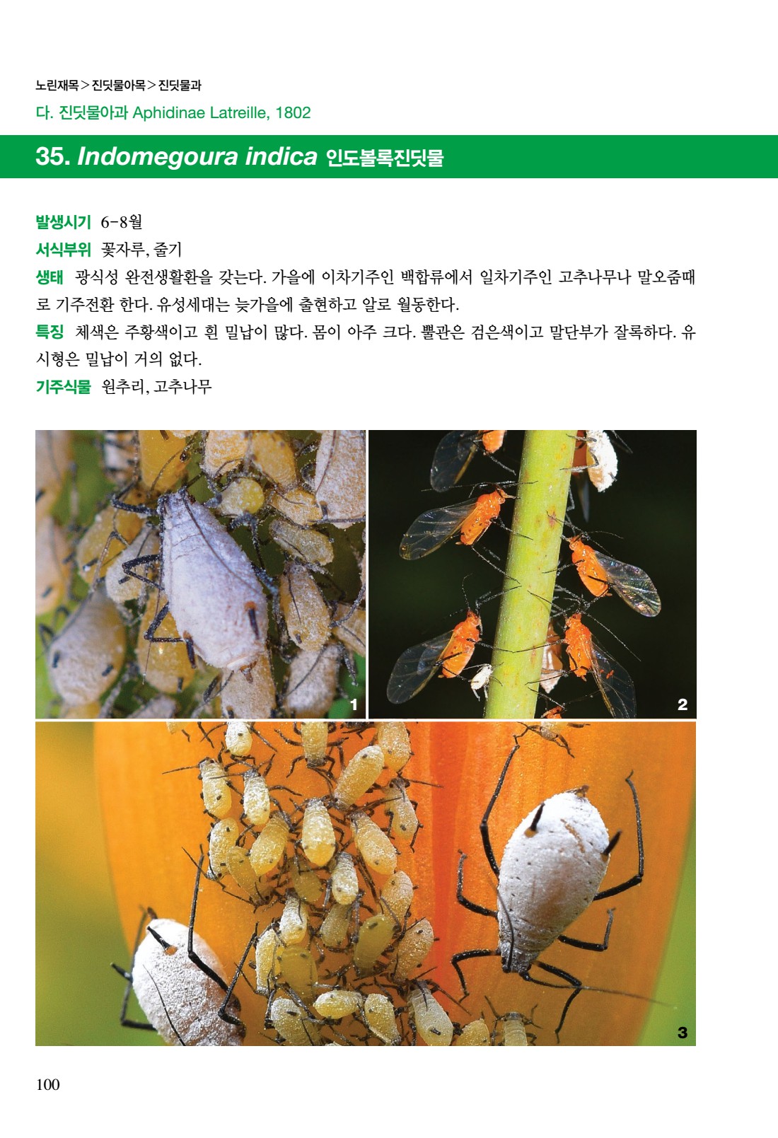 페이지