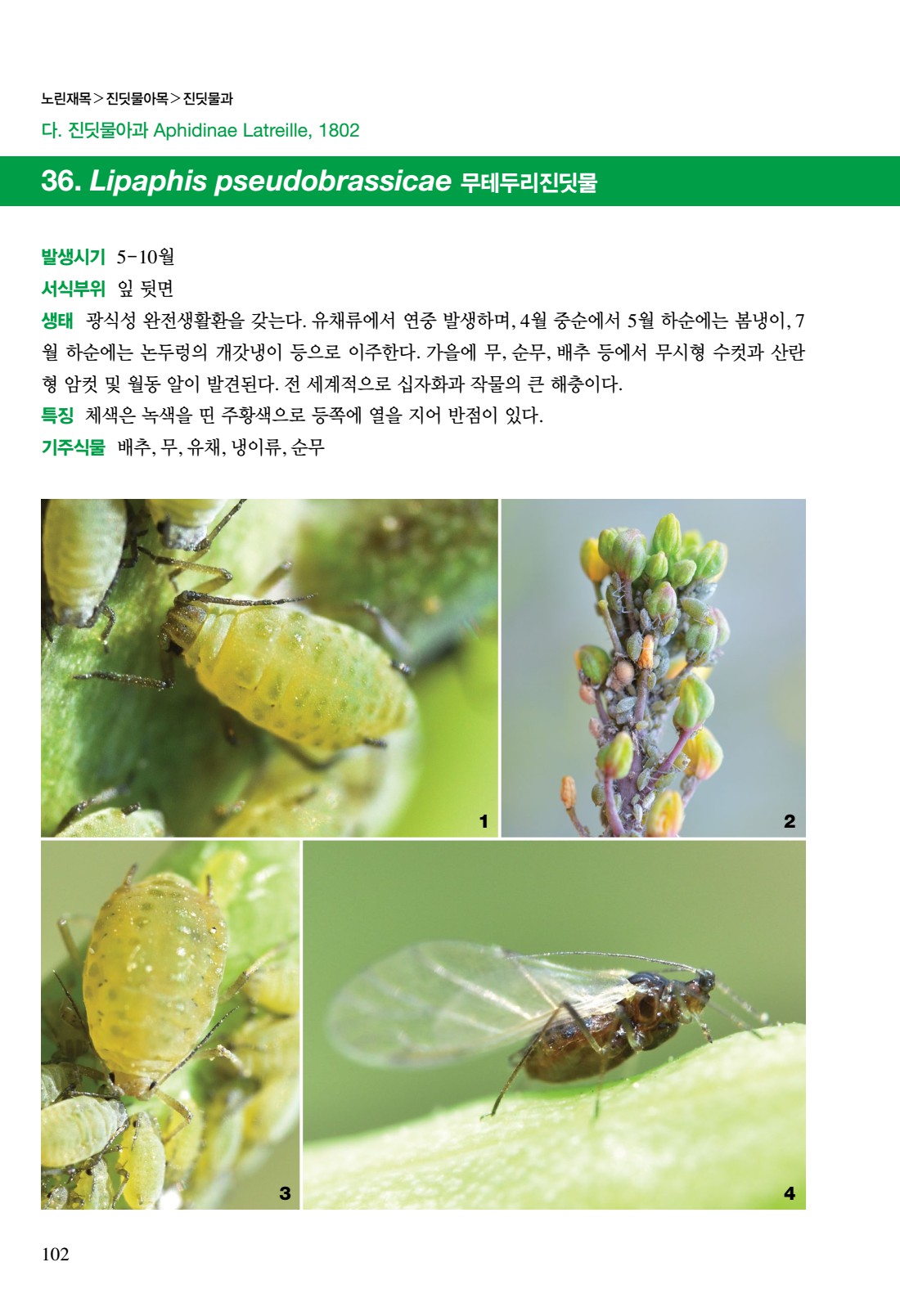 페이지