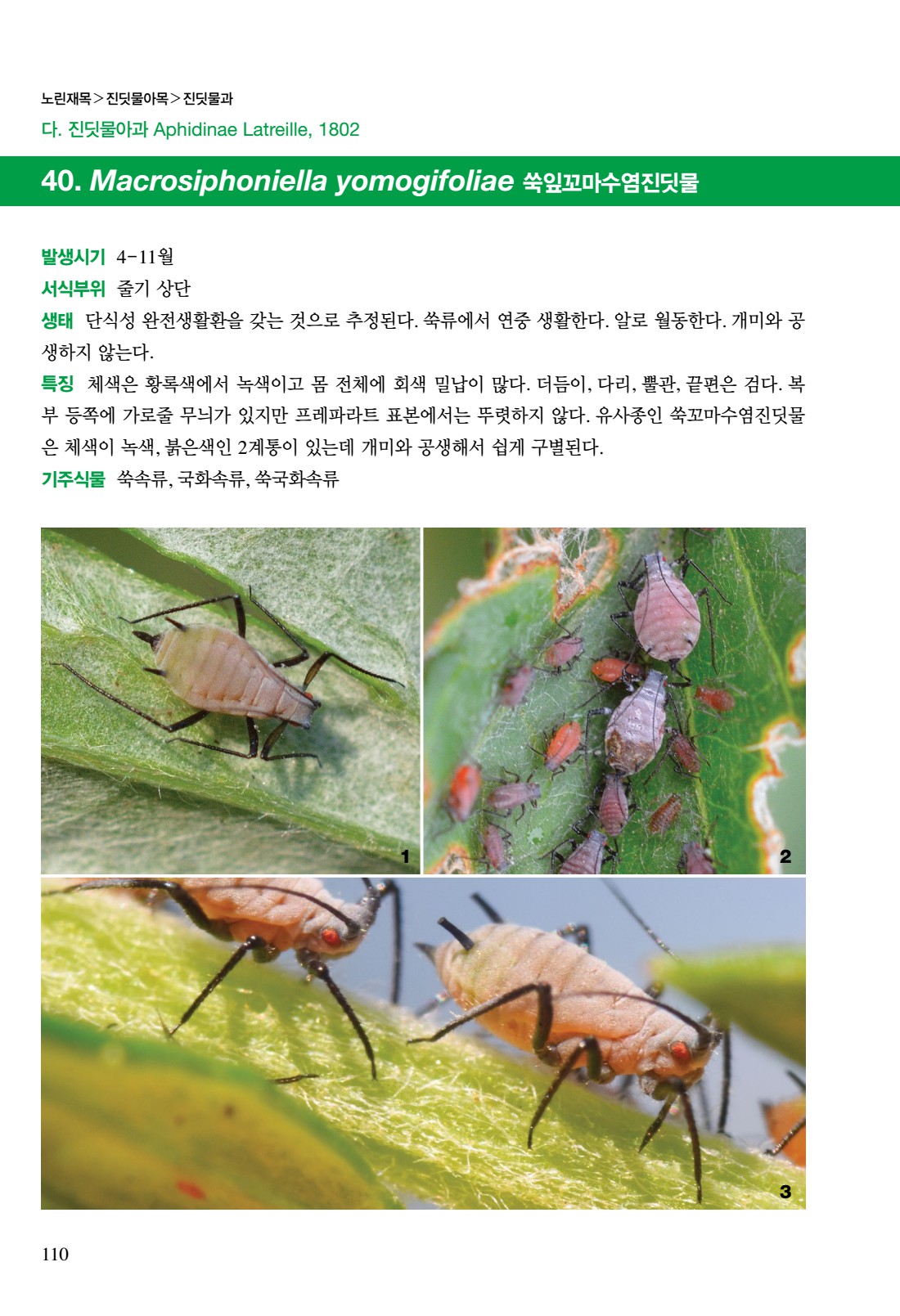 페이지