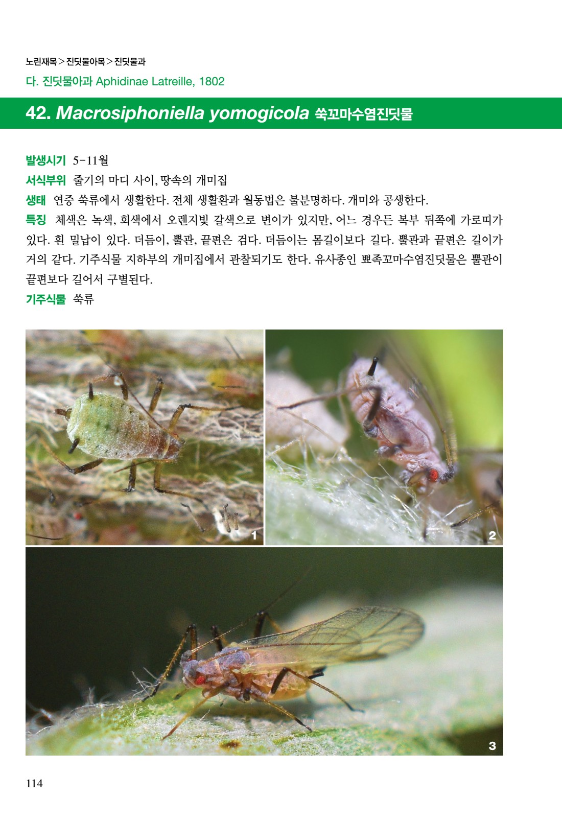페이지