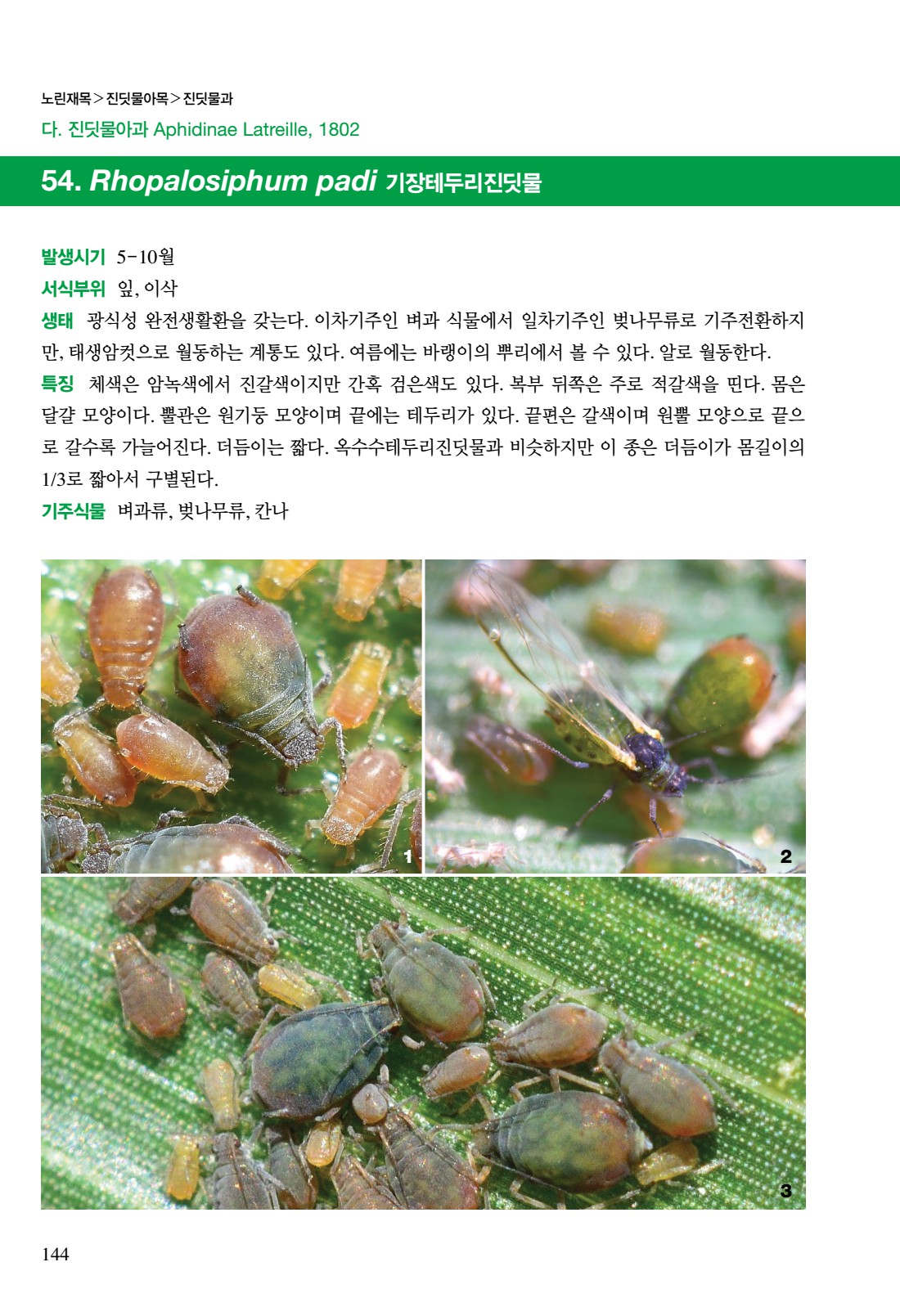 페이지