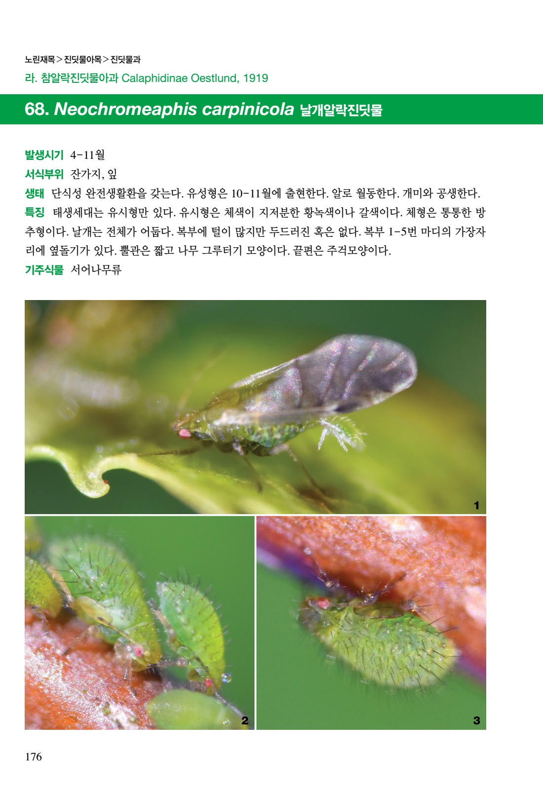 페이지