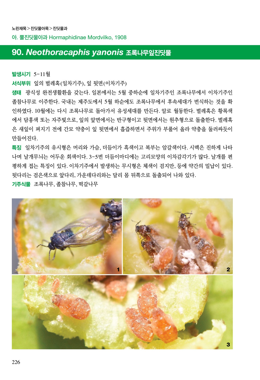 페이지