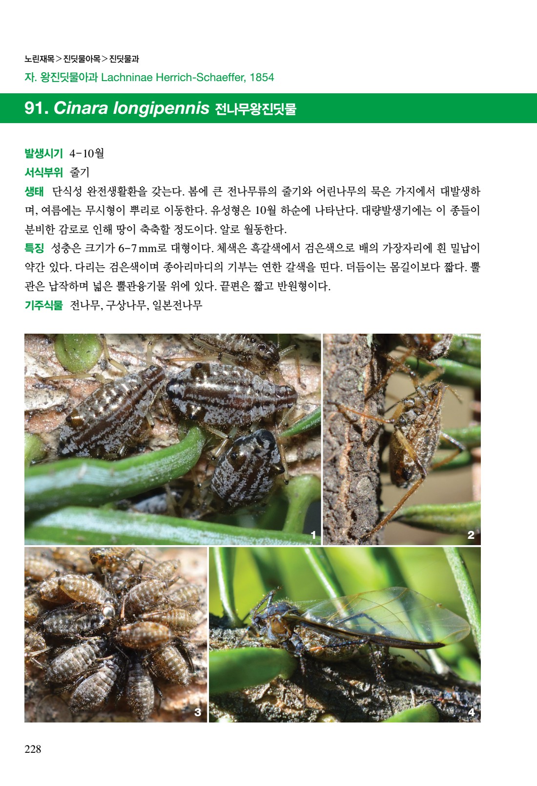 페이지