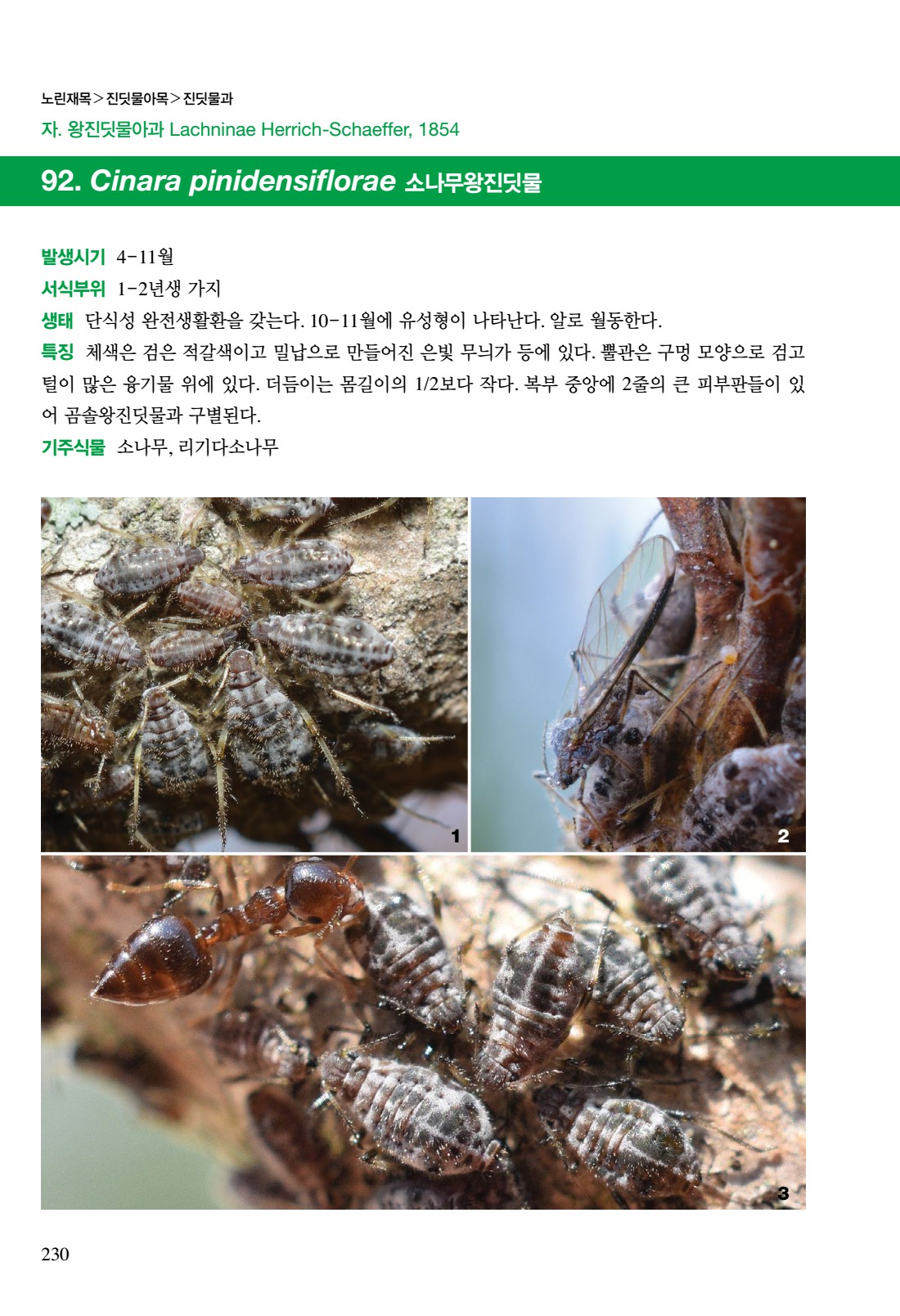 페이지
