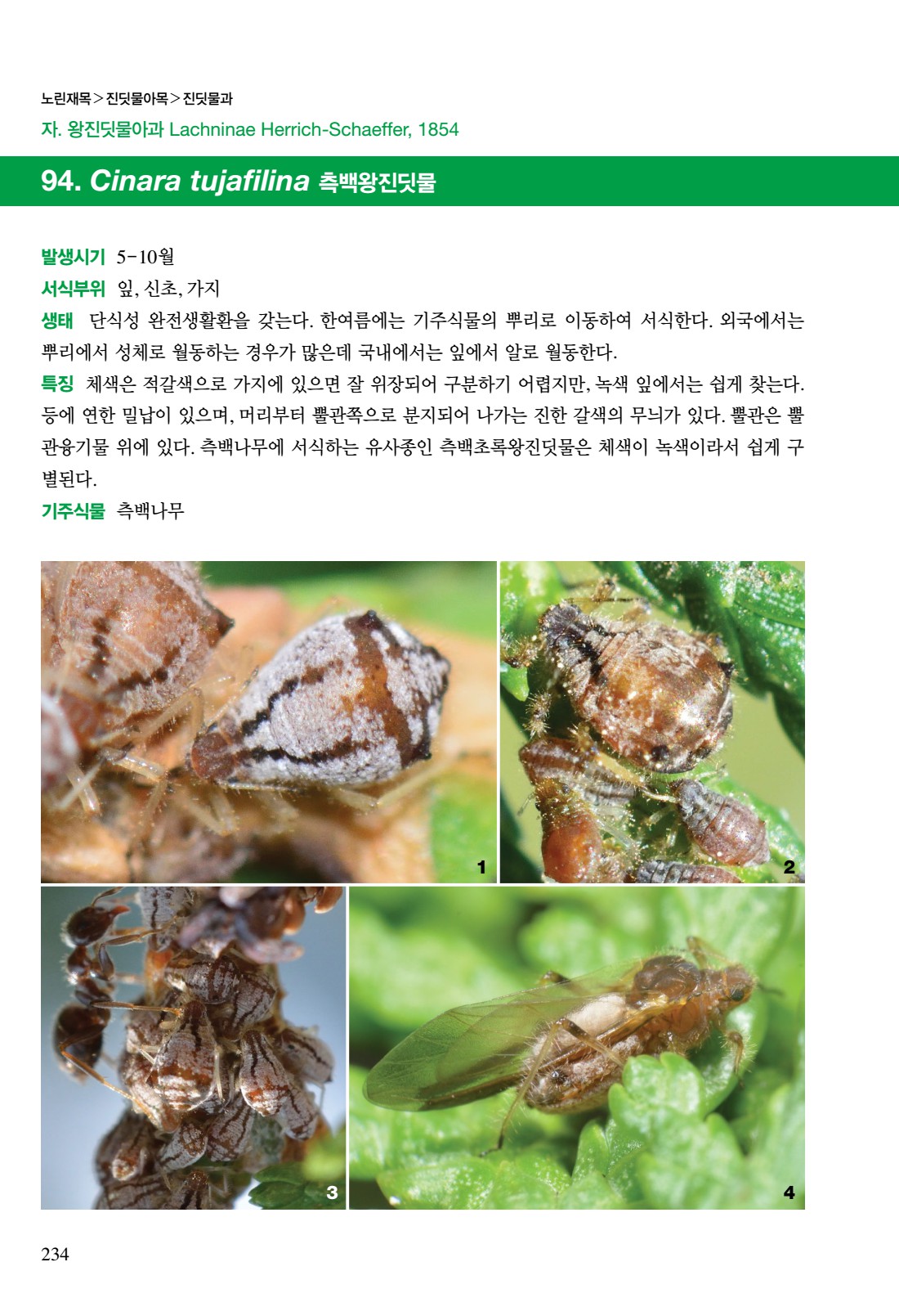 페이지